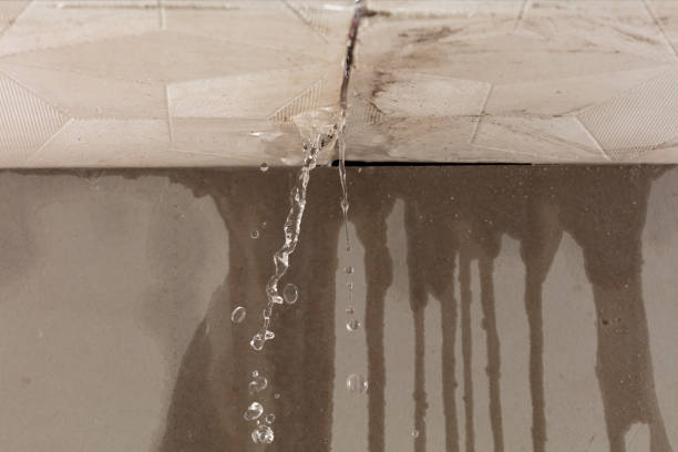 Professional Water Damage Repair technician working in Blue Ridge, TX